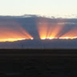 Meet your Posher, Edward